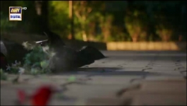 Hook - Episode 02 - 28th December 2022